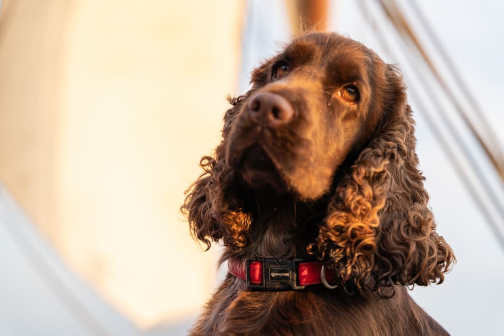 Blogi postitused_purjelaev Hiiuingliga väljasõidul_Laevakoer